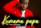 AUDIO Prinx Emmanuel – Kumama Papa MP3 DOWNLOAD