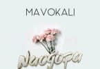 AUDIO Mavokali - Naogopa MP3 DOWLOAD